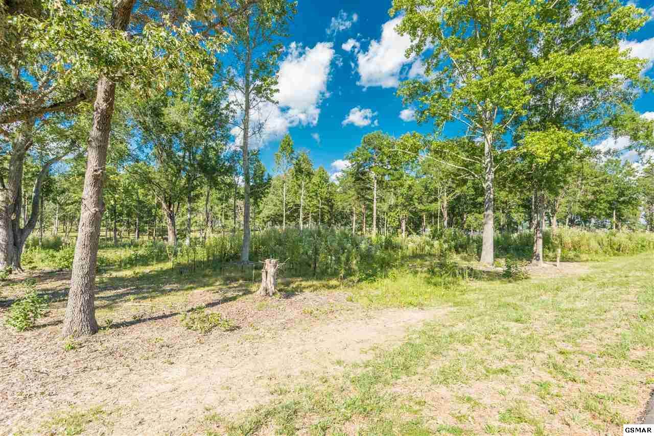 Lot 44 Lakeside Ct - Photo 1 Lot 44 Lakeside Ct - Photo 1