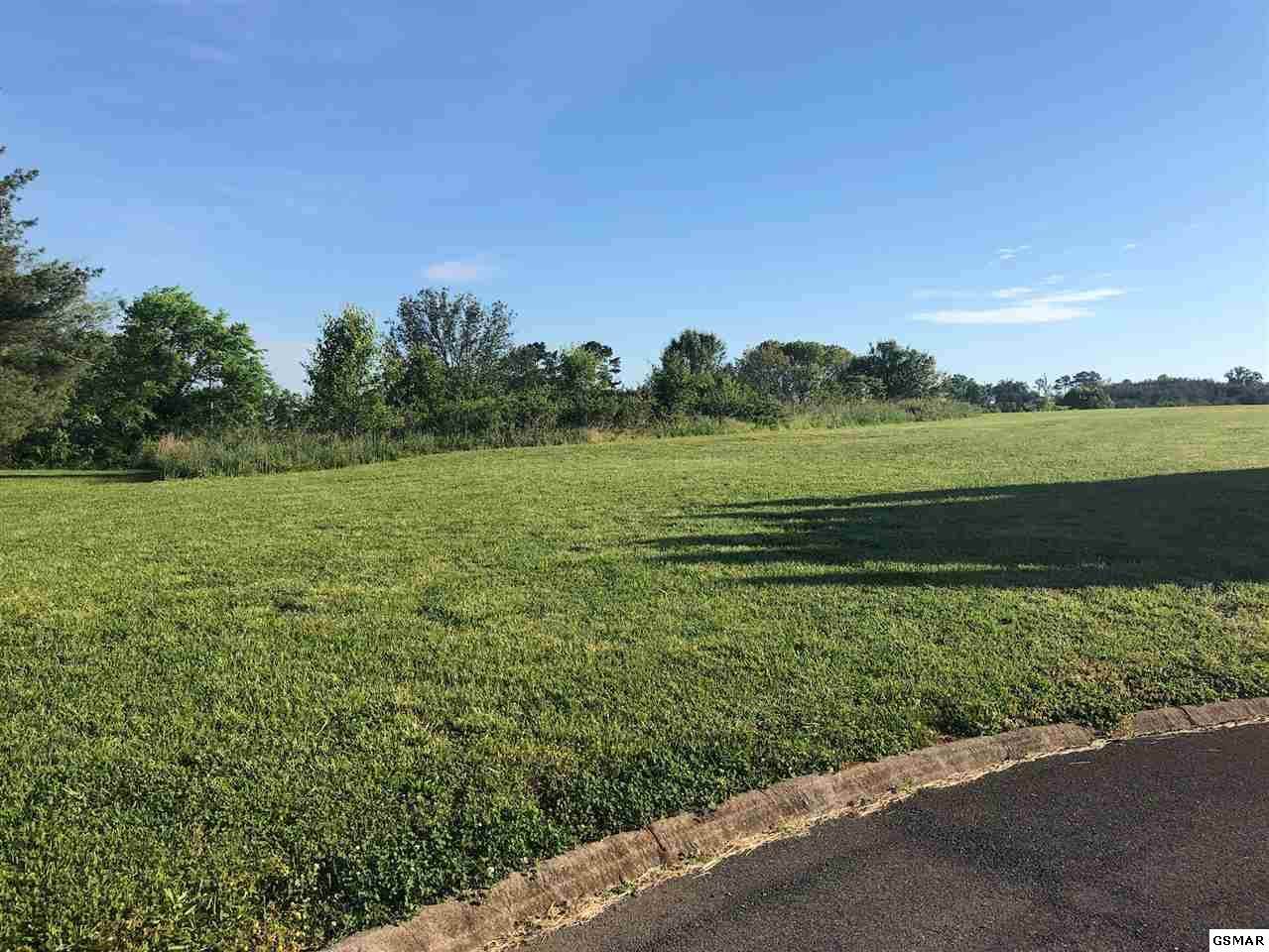 Lot 36 Whaleys Overlook - Photo 1