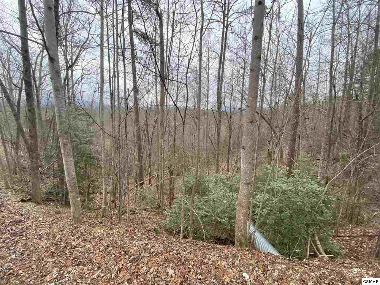 2520 Treehouse Ln - Photo 1