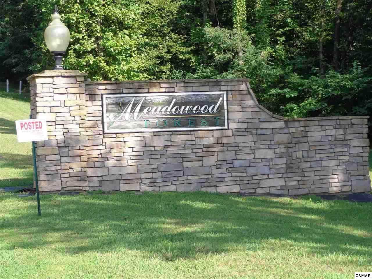 Lot 15 Meadowood Rd - Photo 1