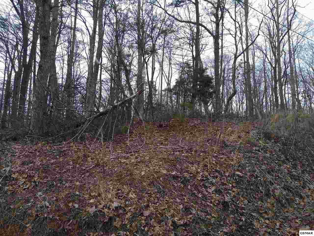 Lot 811 Ash Pass - Photo 1
