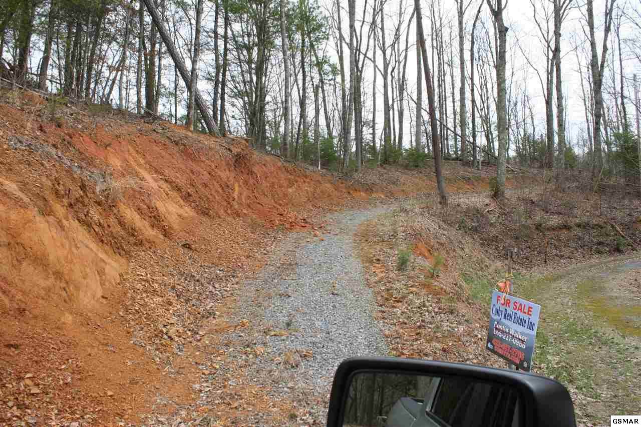 Breezy Trail - Photo 1