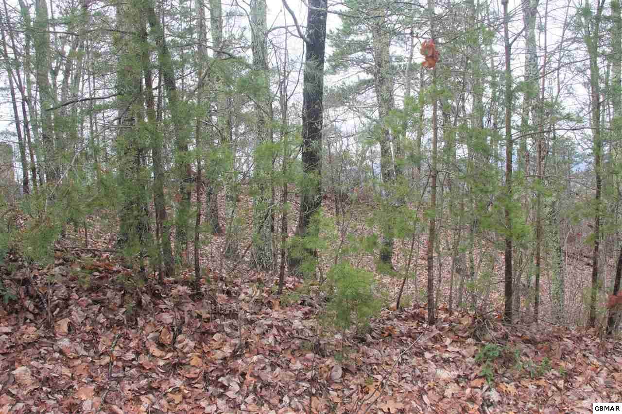 Lot 63 Twin City Way - Photo 1