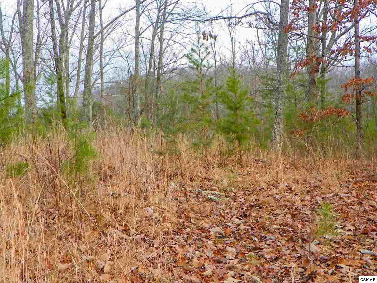 Lot# 24 Fox Hunters Lane - Photo 1