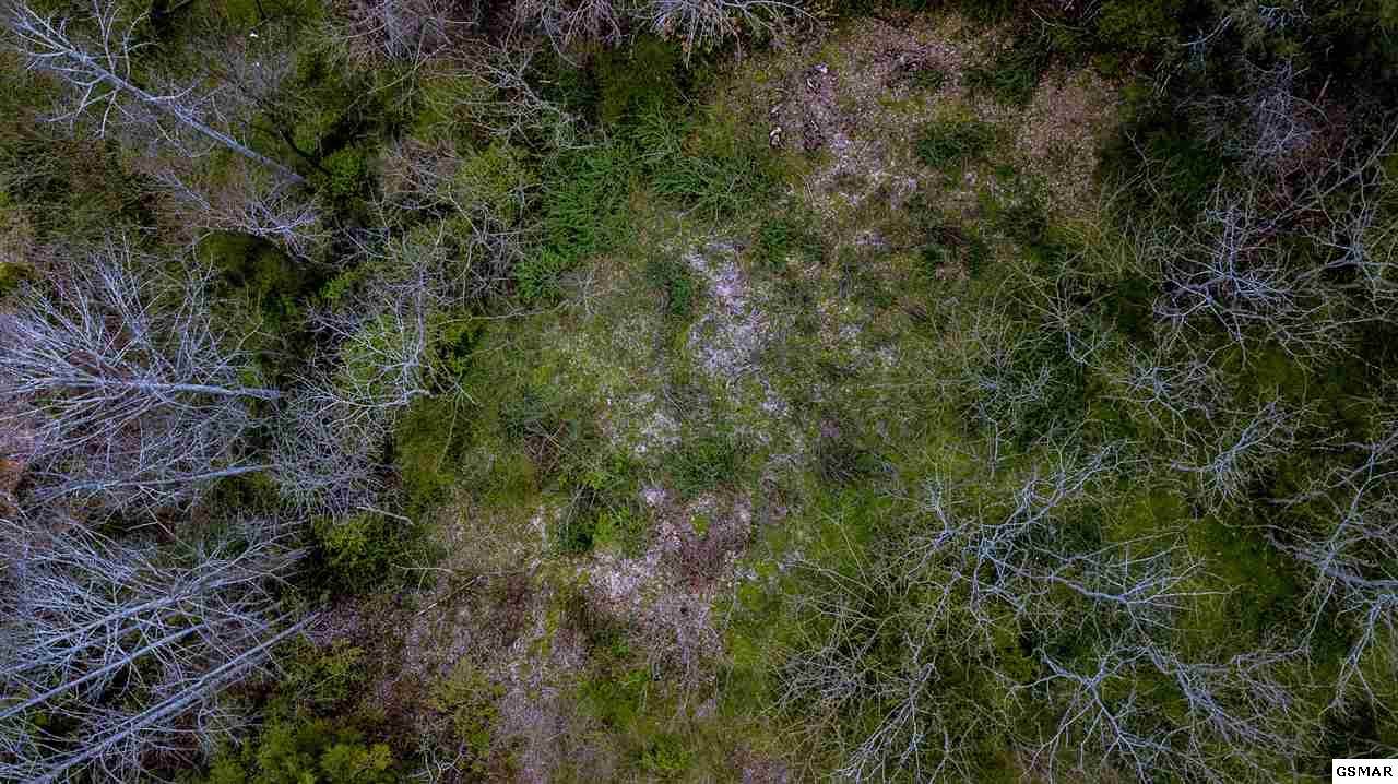 Lot Lot Gatlin Drive - Photo 1
