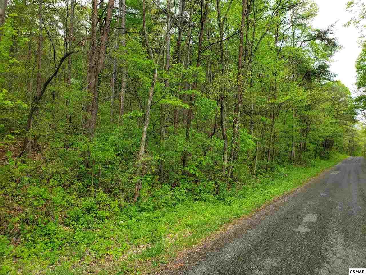 Par 68 Rushy Springs Rd - Photo 1 Par 68 Rushy Springs Rd - Photo 1