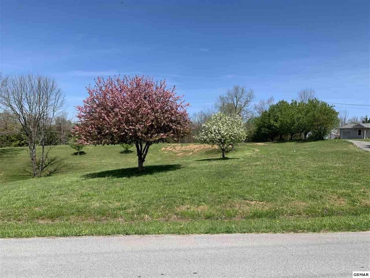 Lot 18r Finchum Ln - Photo 1 Lot 18r Finchum Ln - Photo 1