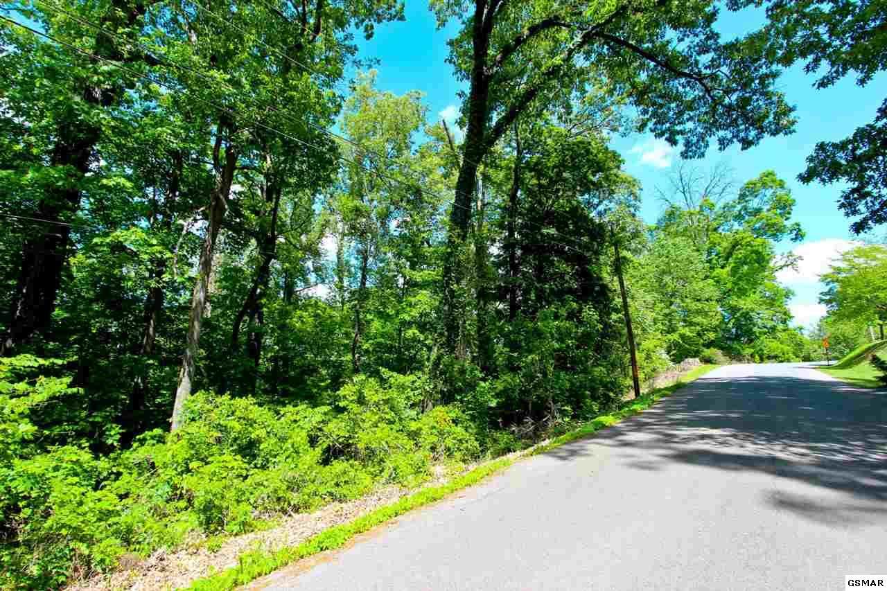 LOT 44 Cliffwood Dr - Photo 1
