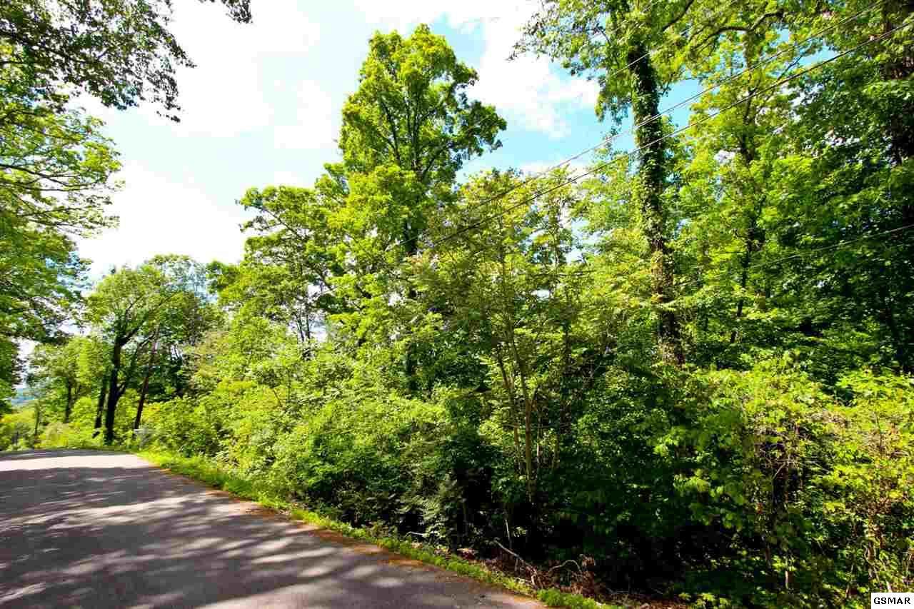 LOT 45 Cliffwood Dr - Photo 1