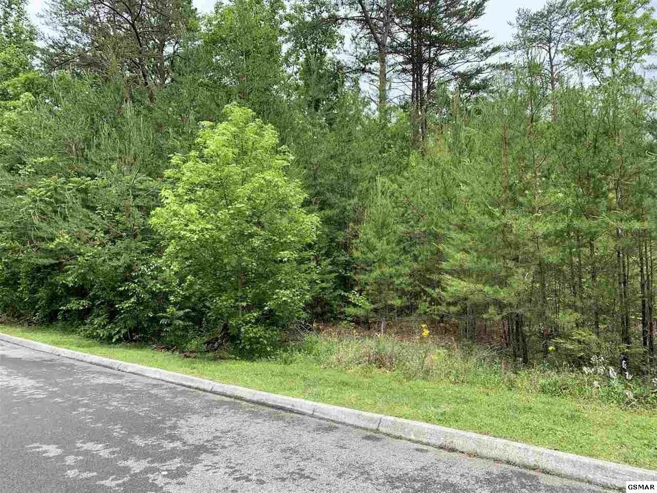 Lot 67 Smoky Cove Rd. - Photo 1 Lot 67 Smoky Cove Rd. - Photo 1