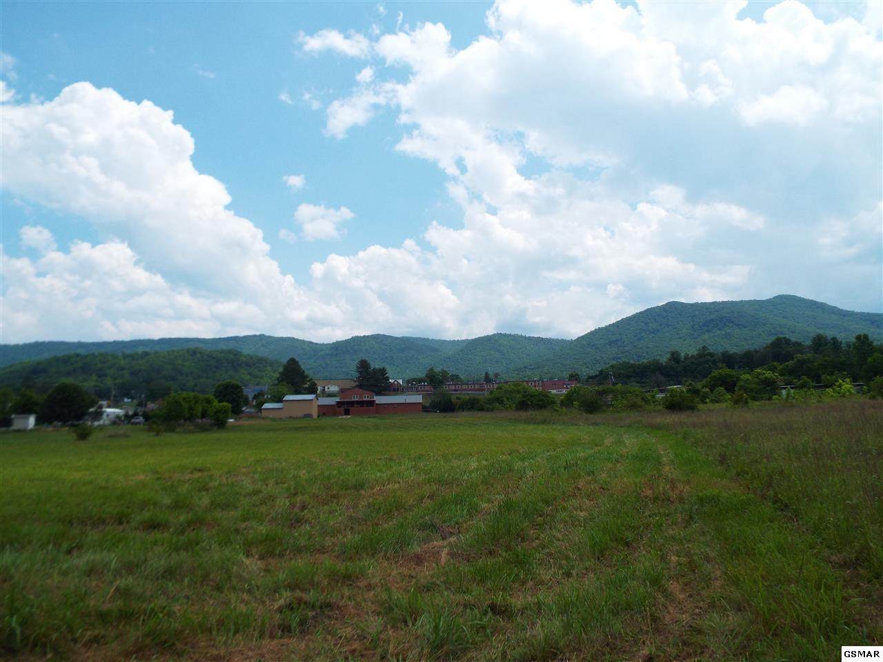 Lot 6 Padgett Mill Rd - Photo 1