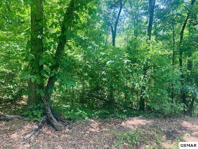 Lot 12 Madison Drive - Photo 1
