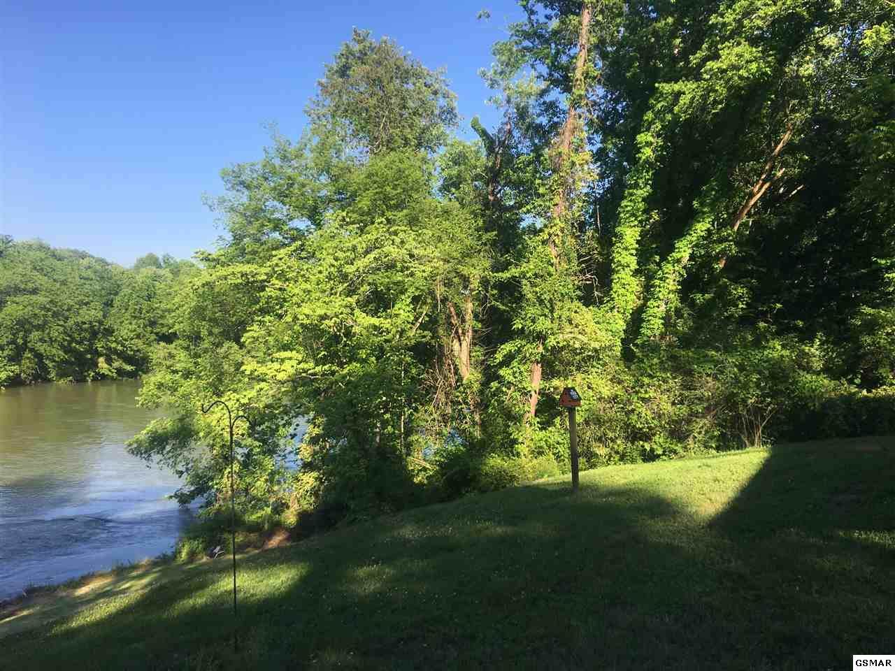 Lot 45 Indian Lane - Photo 1