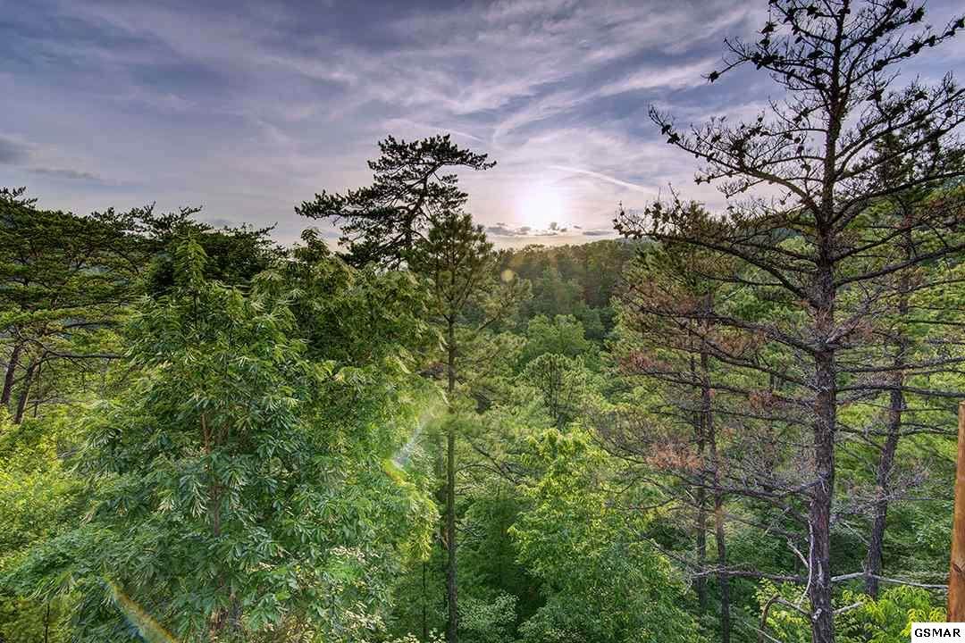 Lot 93 Parkside Retreat Way - Photo 1