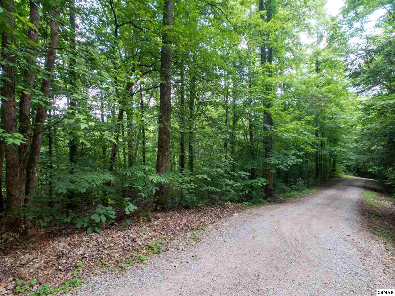 Lot 30 Walden Cove Way - Photo 1