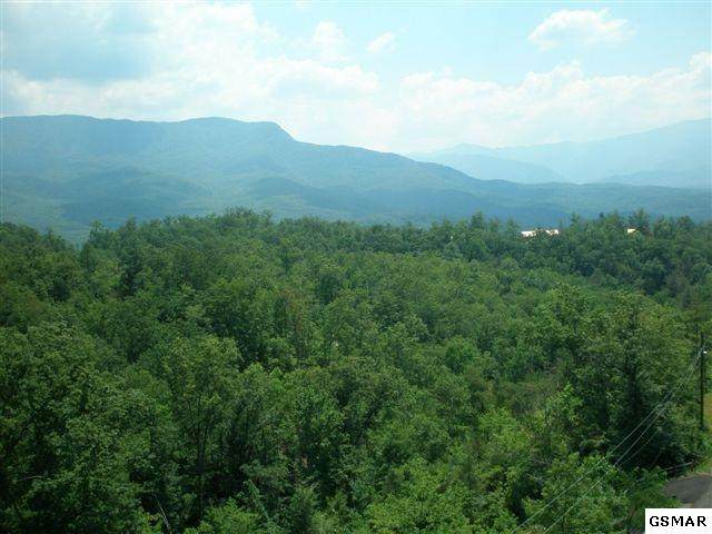 Lot 69 Big Bear Ridge Road - Photo 1