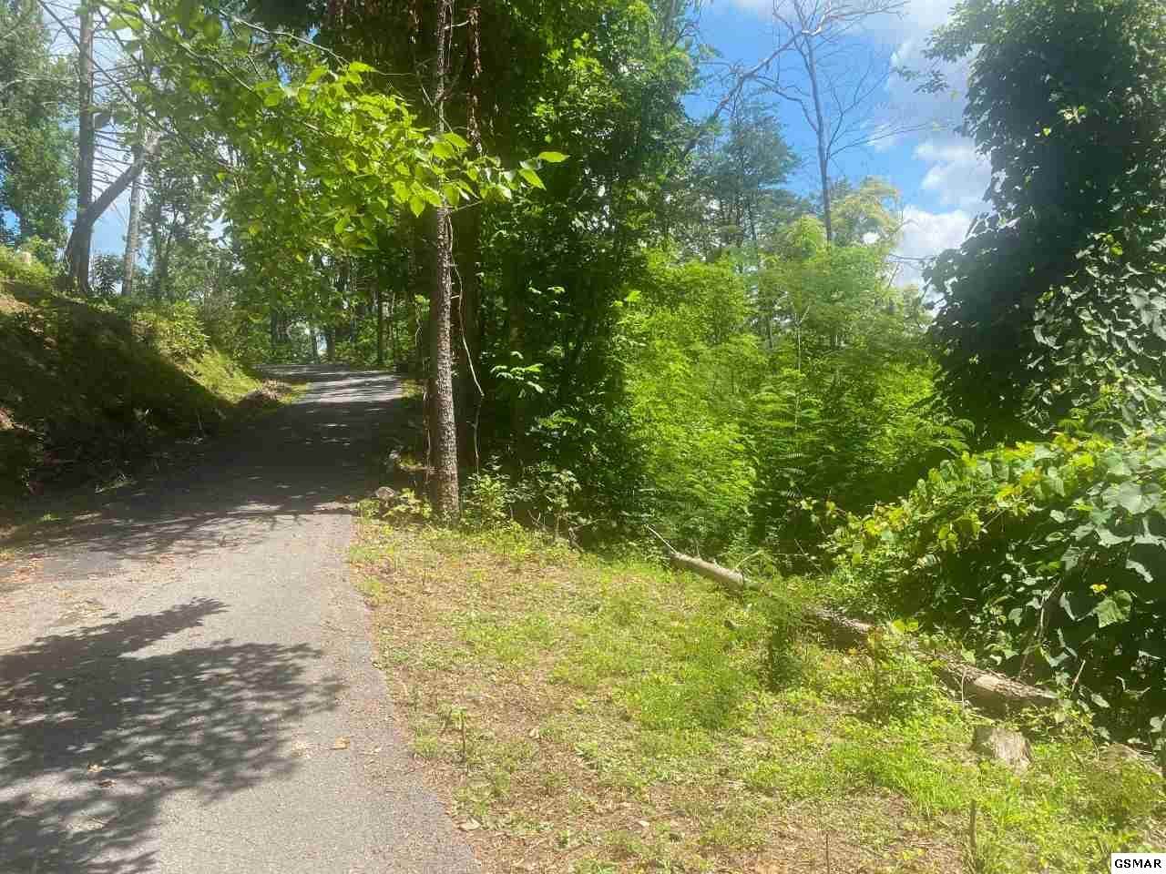 Lot 4 Forest Springs Drive - Photo 1