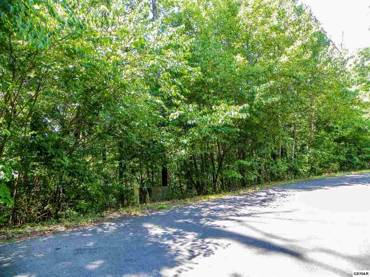 Lot #34 Stevia Way - Photo 1