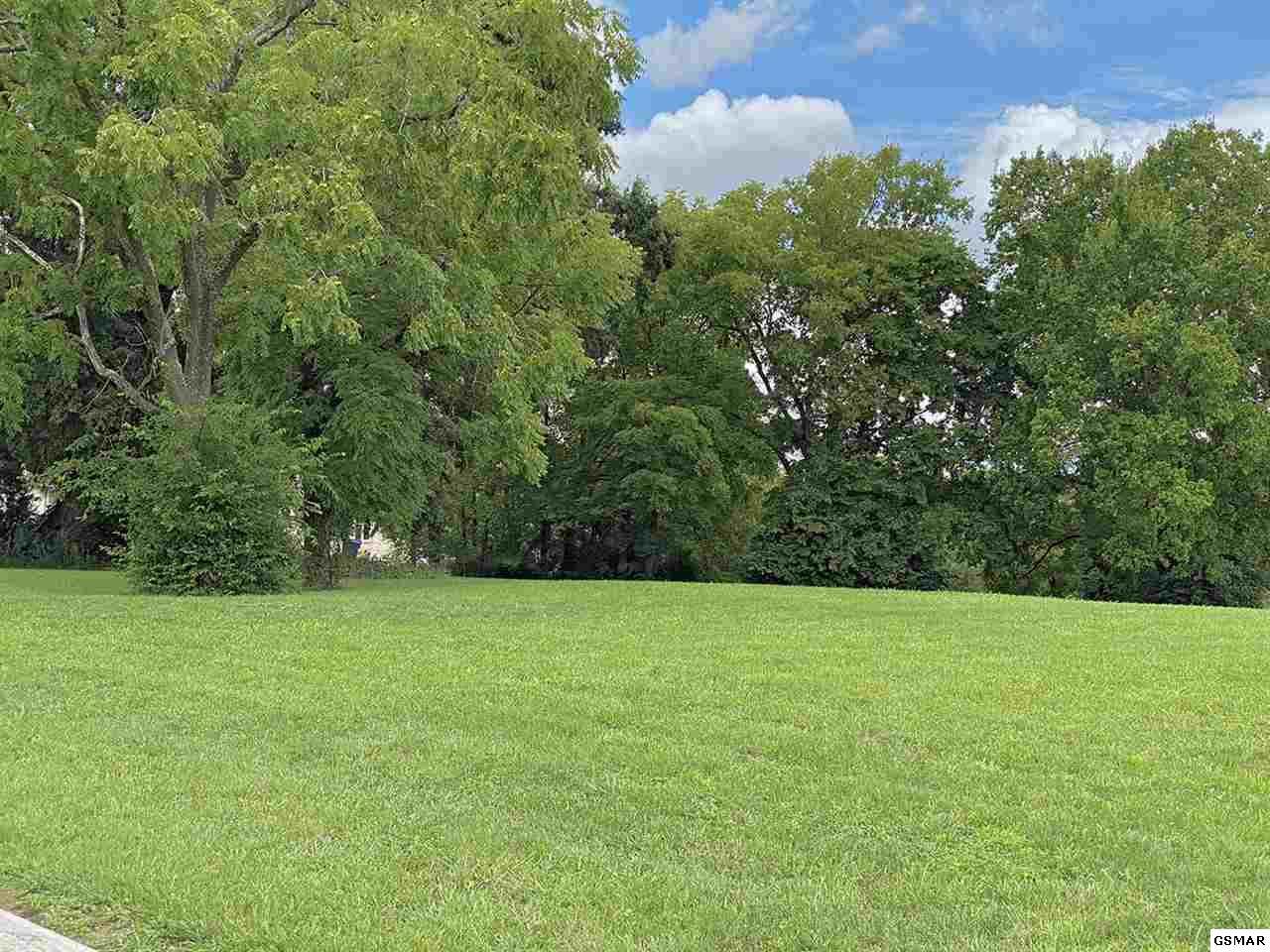 Lot 37 Big Oak Drive - Photo 1