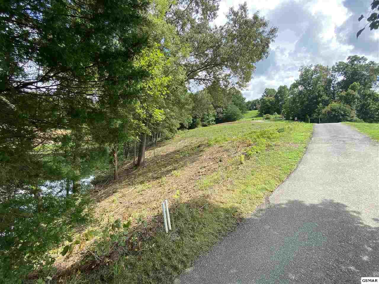 Bobwhite Trail - Photo 1