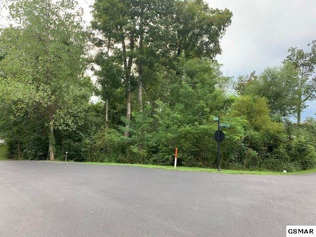 Lot 42 Rocky Point Way - Photo 1