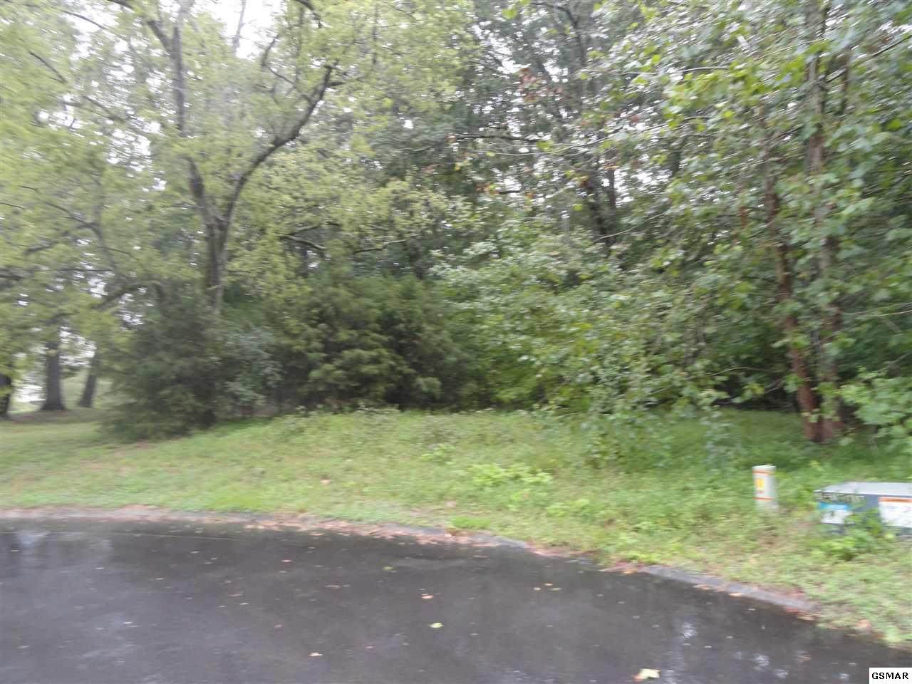 Lot 10 Stokley Ct - Photo 1