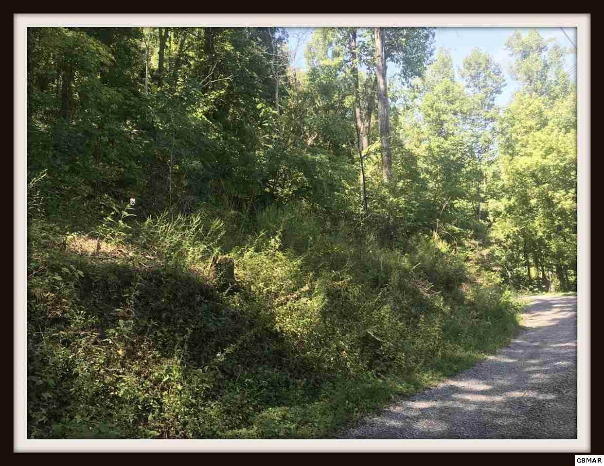 Lot Lonesome Pine Way - Photo 1