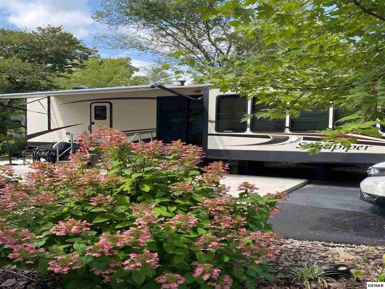 4229 Parkway - Photo 1