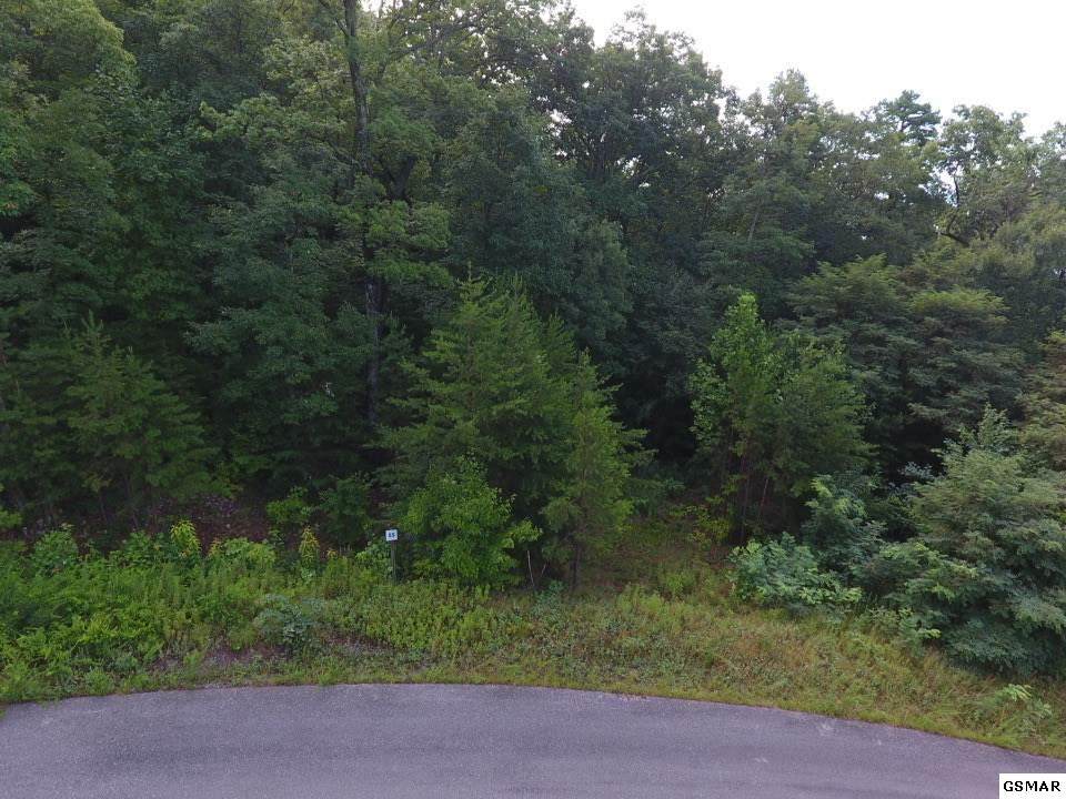 Lot #55 Mountain Ash Way - Photo 1