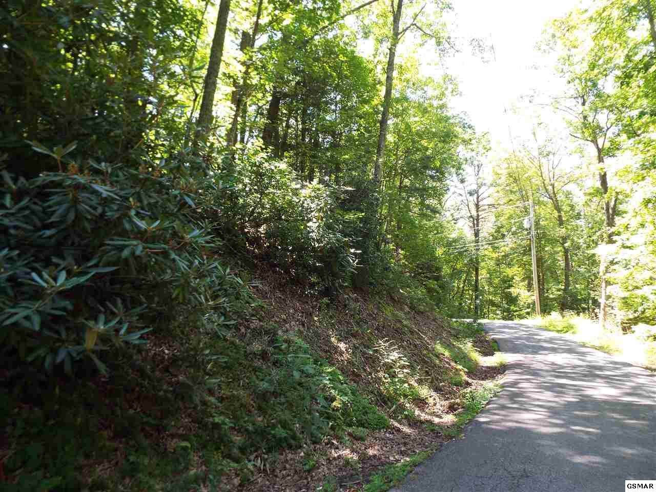 Par. 1.0 & 2.0 Red Bud Rd - Photo 1