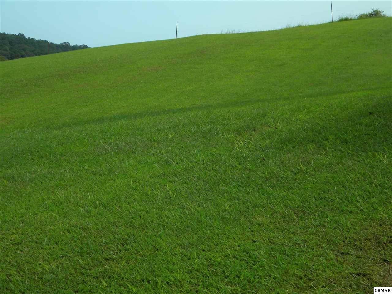 Lot 28 River Run Circle - Photo 1