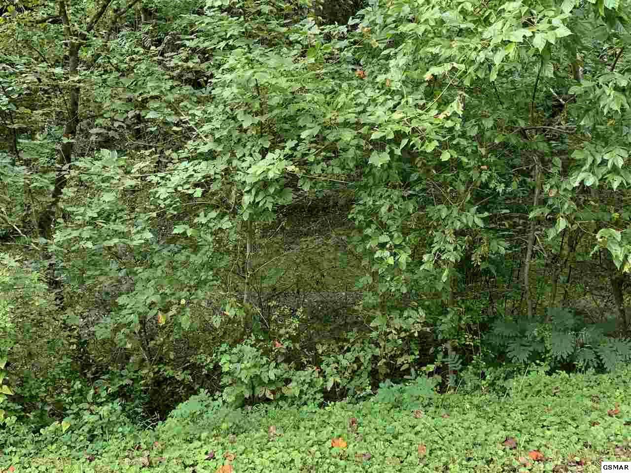Flat Branch Rd. - Photo 1
