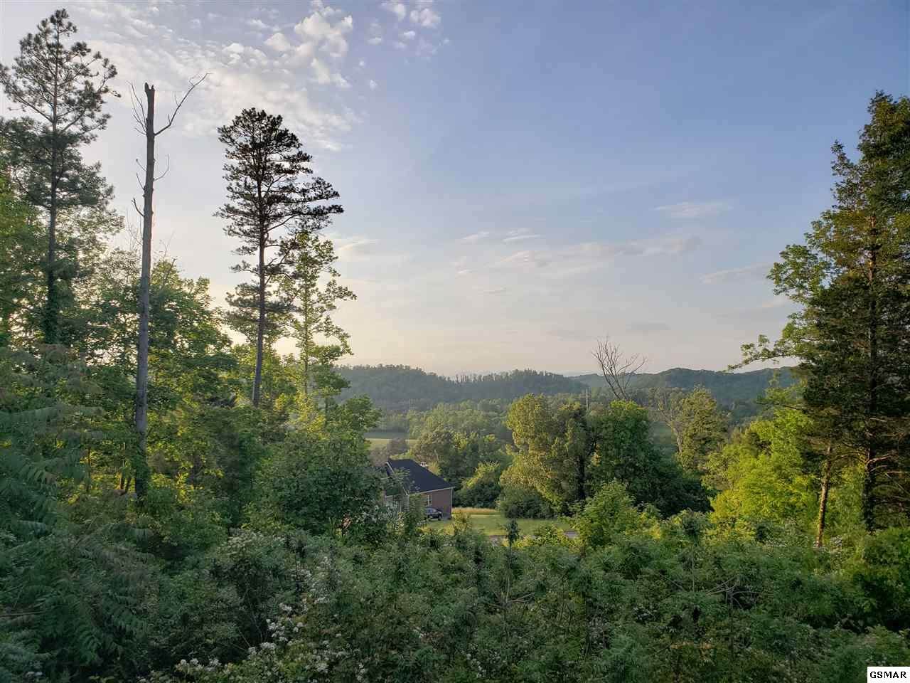 700 Timberline Dr - Photo 1