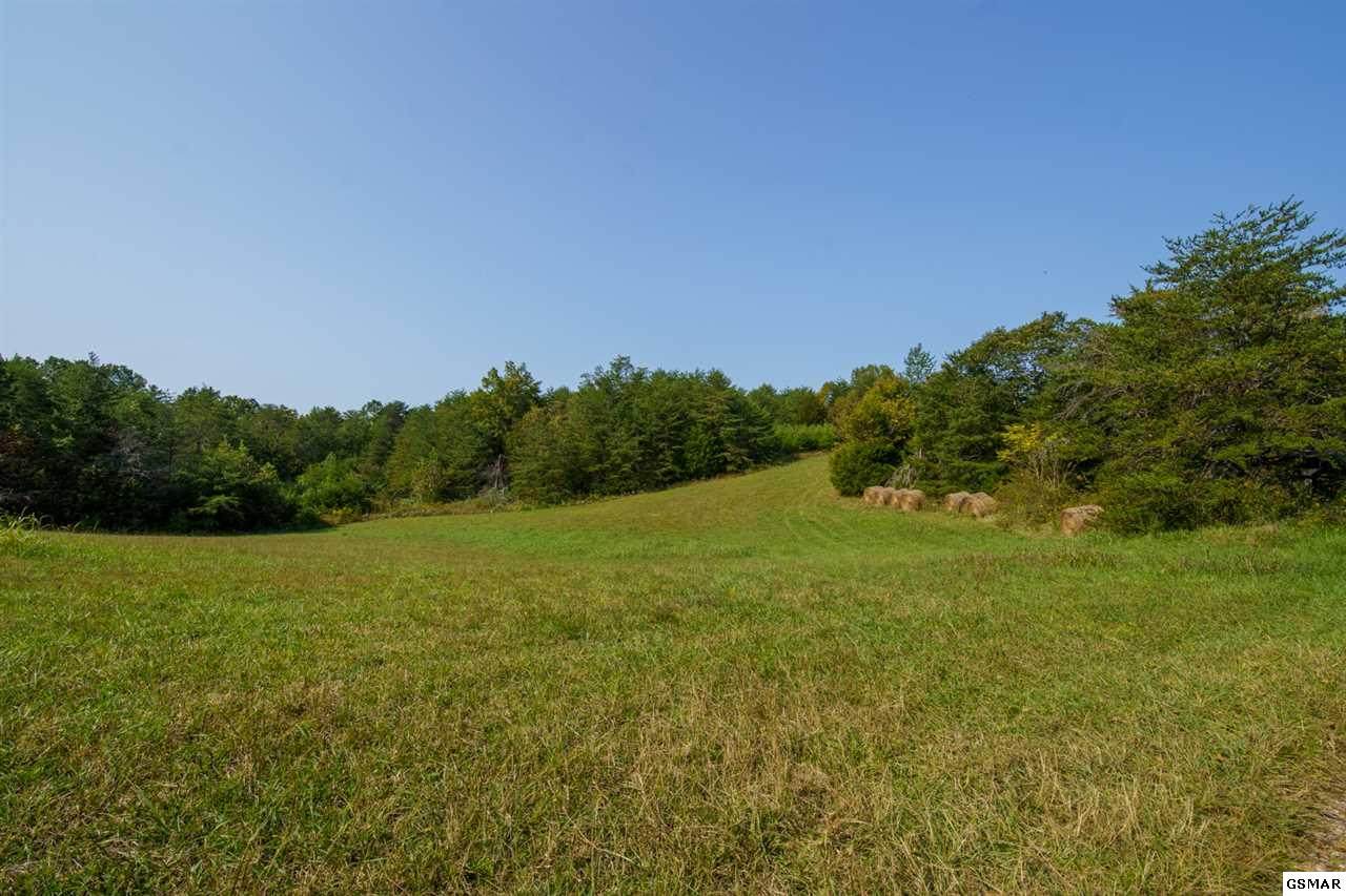 3310 Wild Turkey Way - Photo 1
