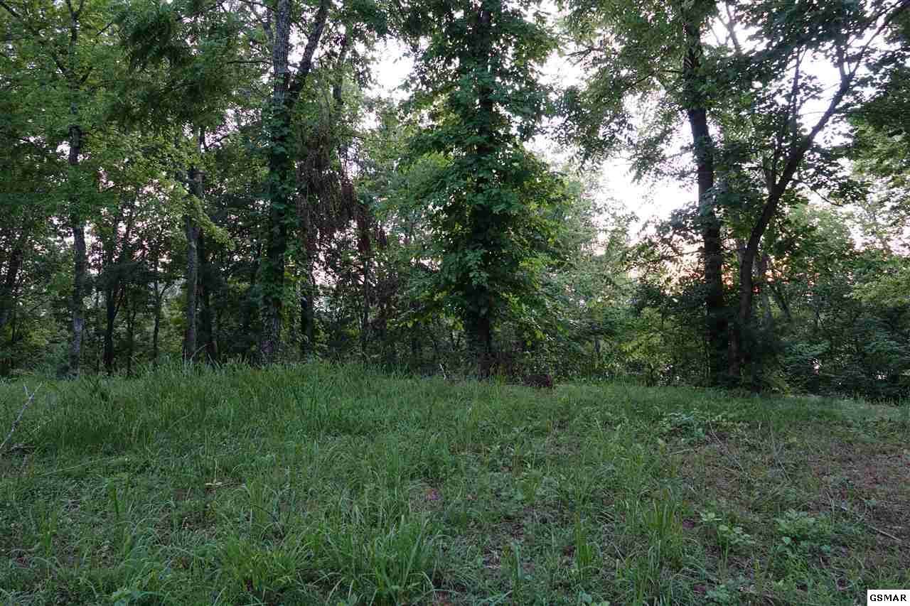 Lot 15 Waterford Way - Photo 1