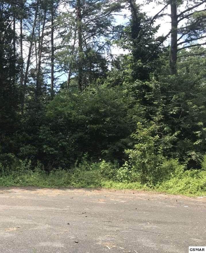 Lots 19 Symphony Lane - Photo 1