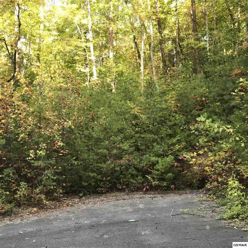 Lot 15 Peace Lane - Photo 1