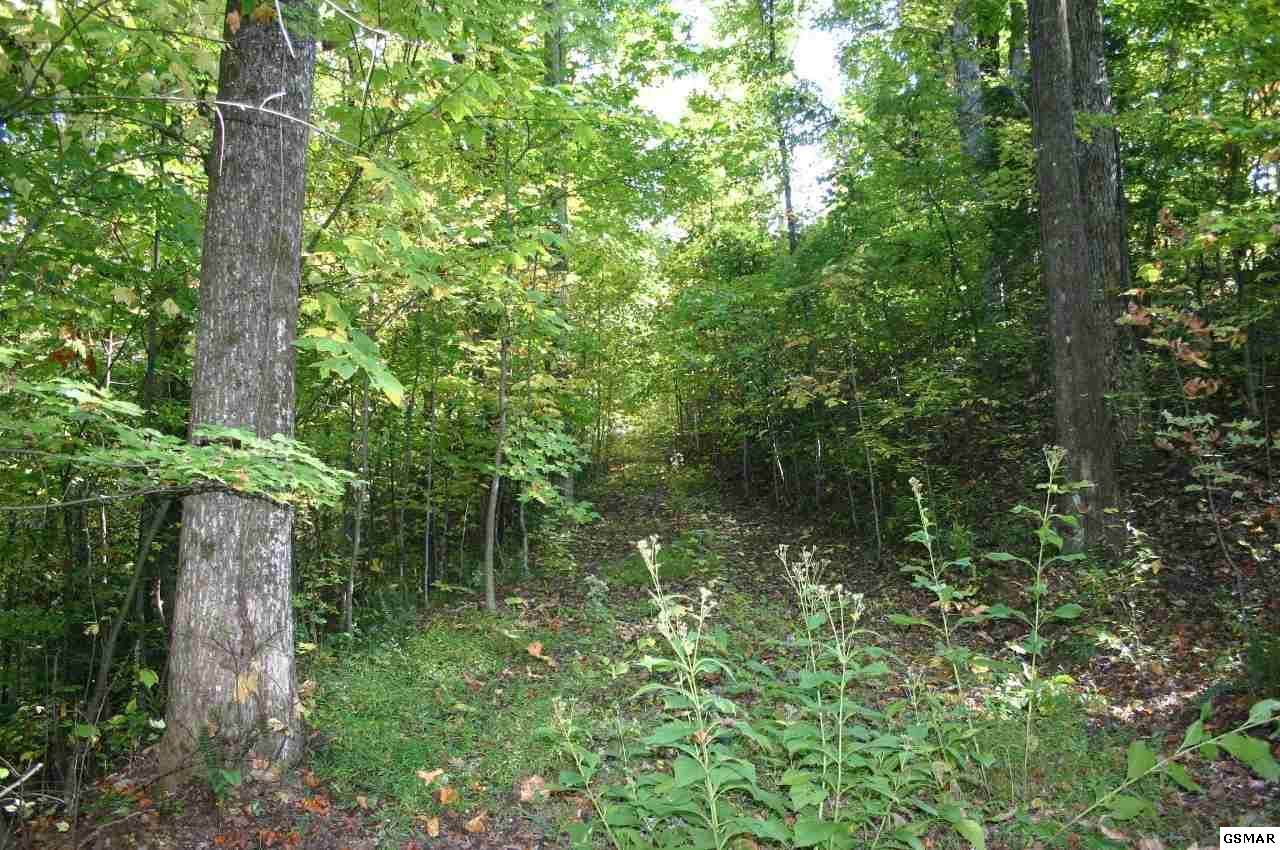 Lot 28 Sonshine Ridge Rd - Photo 1