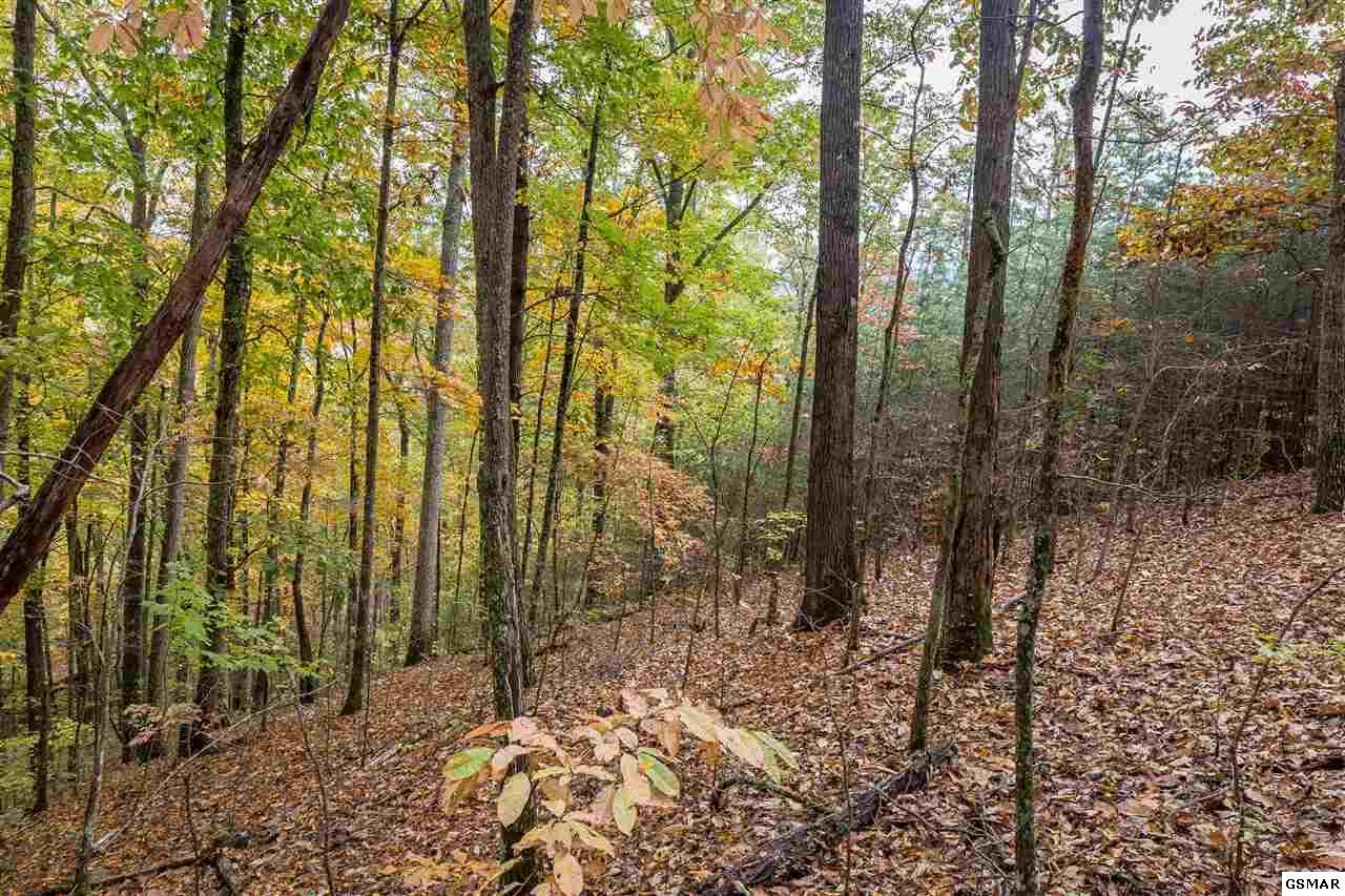 Lot 27 Whippoorwill Hill Way - Photo 1