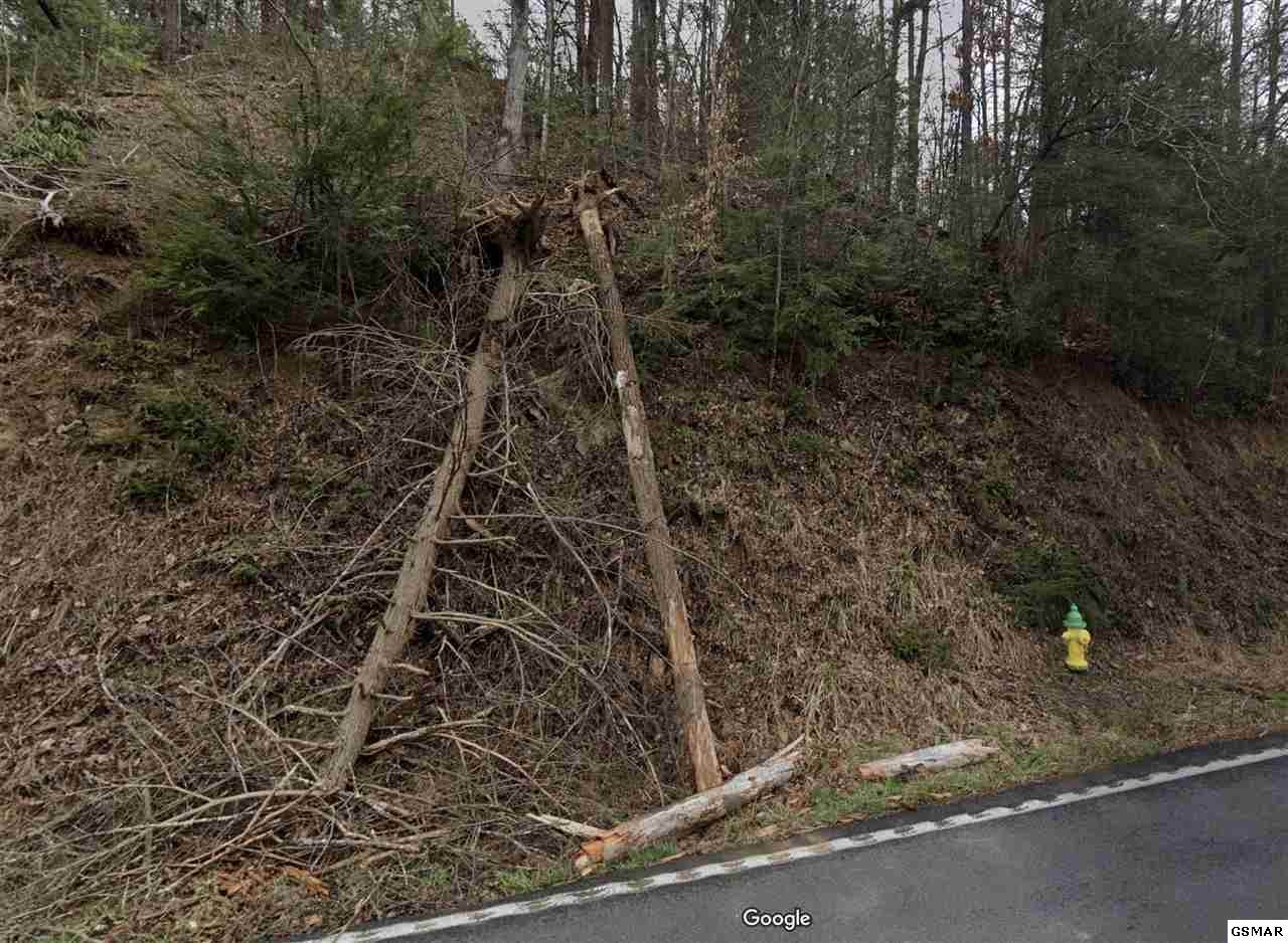 Glades Road - Photo 1