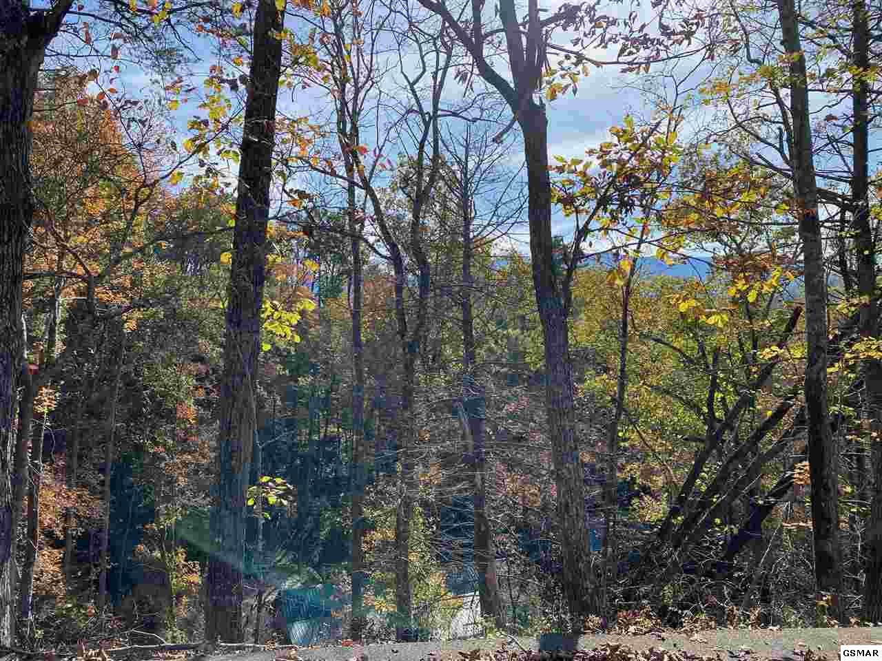 Lot 5 Old Cartertown Rd - Photo 1