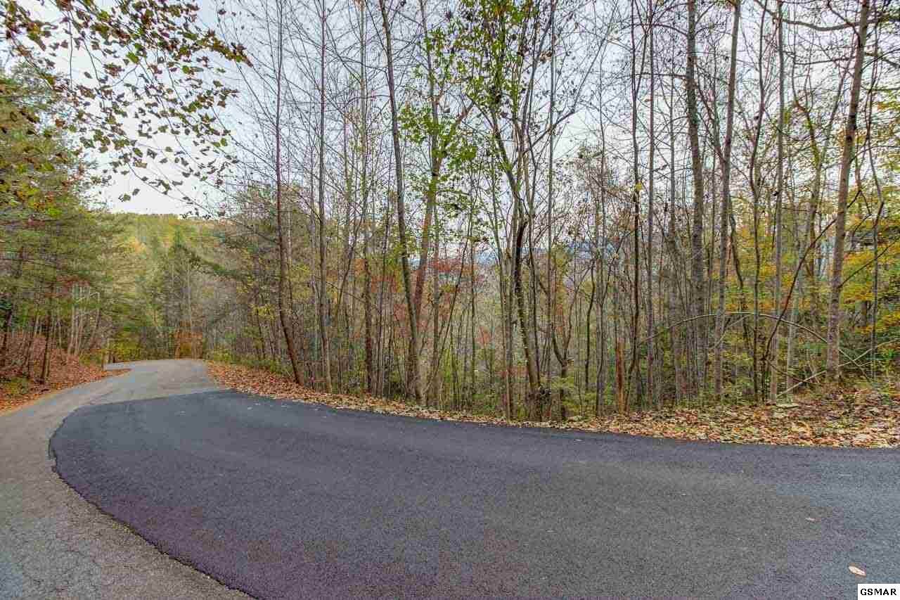 Lot 38 Fiddler South Way - Photo 1