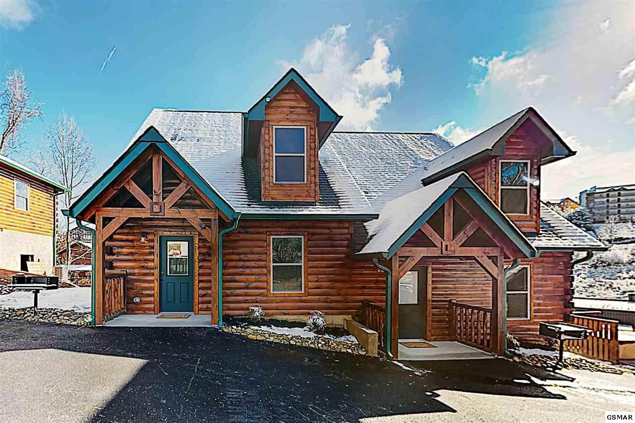 1628 Falls Way - Photo 1