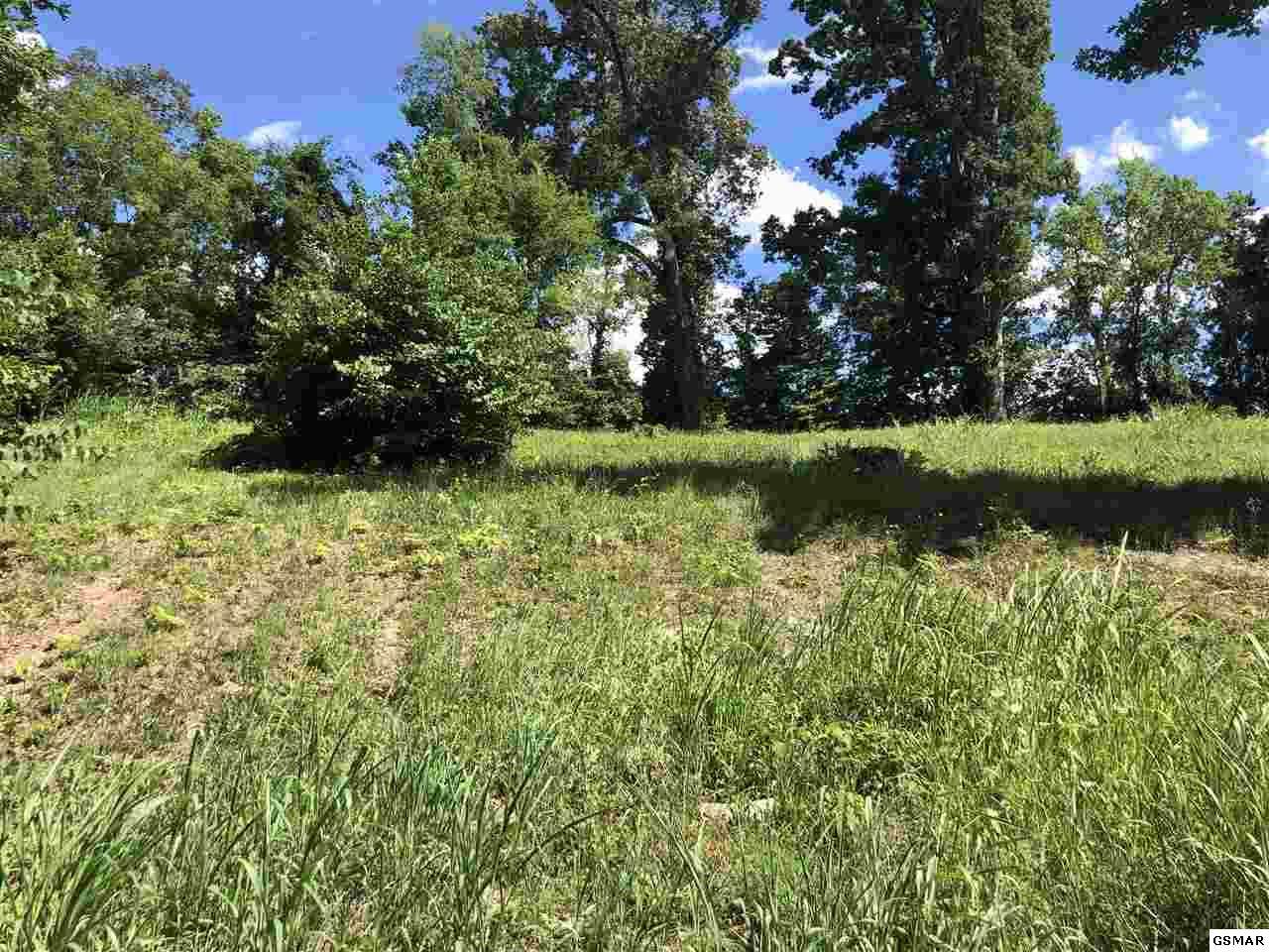 Lot 12 Infinity Lane - Photo 1