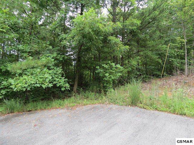 Lot 5 Thissa Way - Photo 1