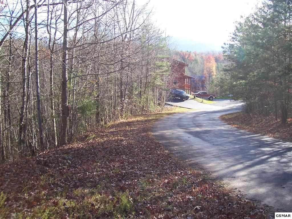 Lot 19 Treehouse Lane - Photo 1