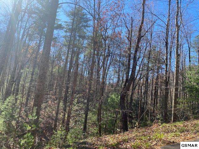 Lot 52 Wintergreen Dr - Photo 1