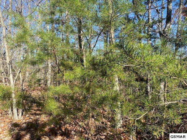 Lot 40 Ridgeview Dr - Photo 1