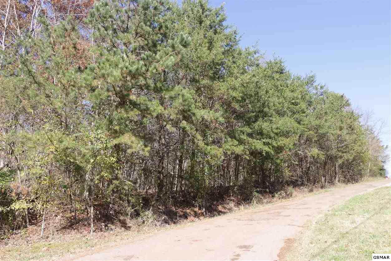 908 Doe Dr - Photo 1