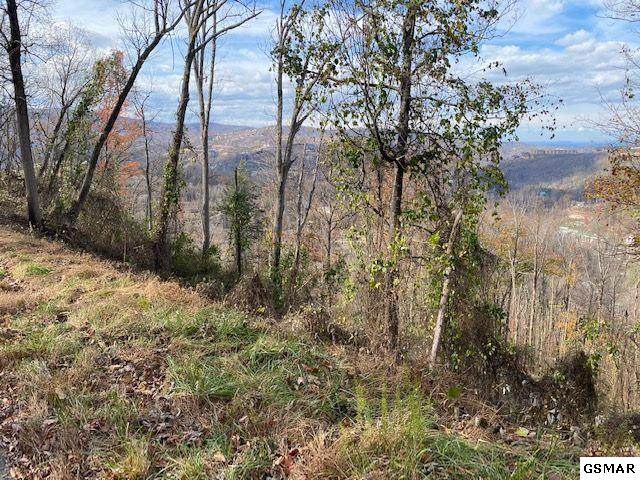 Lot 23 Stone Fence Ln - Photo 1